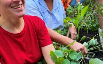 Vier unserer hauptamtlichen Mitarbeiterinnen und Mitarbeiter beim gemeinsamen freudigen Gärtnern an den Beeten im vereinseigenen Garten